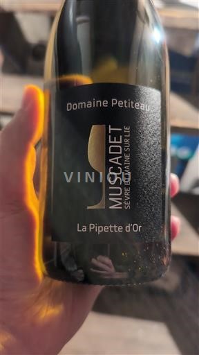 Vallée de la Loire Muscadet-sèvre-et-maine Domaine Petiteau La Pipette d'Or 2024