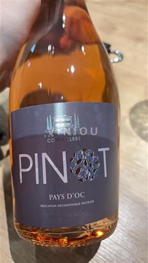 Languedoc a Roussillon Pays d'Oc Domaine La Conseillère Pinot 2023