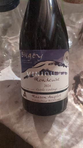 Savoyen und Bugey Bugey Maison Angelot vintage 2024