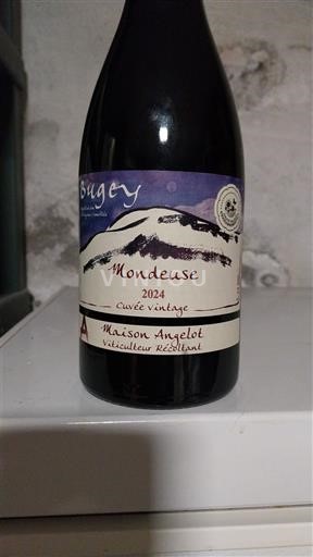 Savoie og Bugey Bugey Maison Angelot vintage 2024