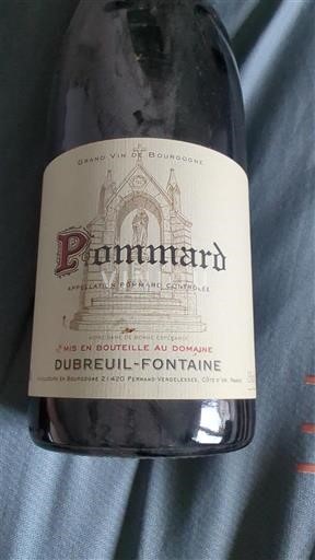 Burgundsko Pommard Dubreuil-Fontaine 2017
