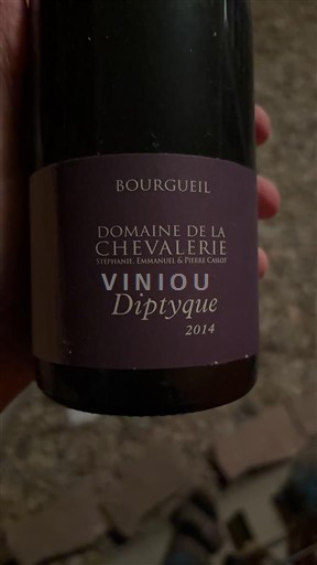 Vinos Rouge sec Diptyque Domaine La Chevalerie 2014 Francia Valle del Loira Bourgueil AOC