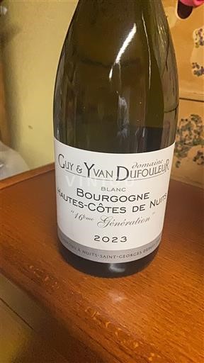 Burgund Nicht spezifiziert Domaine Guy & Yvan Dufouleur 16ème Génération 2023