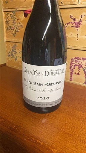 Burgund Nuits-Saint-Georges Domaine Guy & Yvan Dufouleur Les Crots-Fraîches Eaux 2020