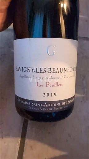 Bourgondië Niet gespecificeerd Premier Cru Domaine Saint-Antoine des Echarmeaux Les Peuillets 2019