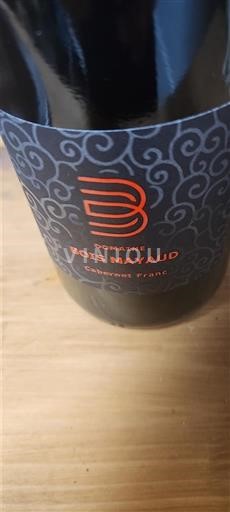 Valle della Loira Saint-Nicolas-De-Bourgueil Domaine Bois Mayaud 2022