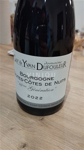 Borgoña No especificado Domaine Guy & Yvan Dufouleur 16ème Génération 2022