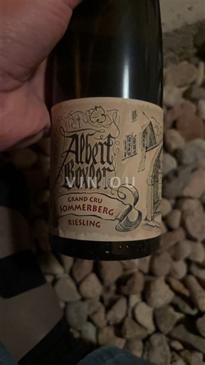 Alsace Riesling Grand Cru Albert Boxler Sommerberg 2014