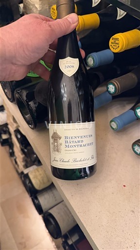 Rượu vang Blanc sec Jean-Claude Bachelet et Fils 2008 Pháp Bourgogne Bienvenues-bâtard-montrachet AOC Grand Cru