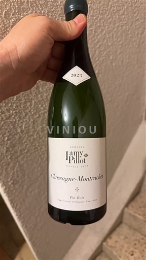 Bourgondië Chassagne-Montrachet Domaine Lamy Pillot Pot Bois 2023