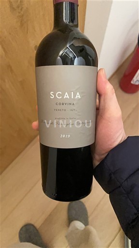 Wines of Veneto Veneto Scaia Corvina 2019