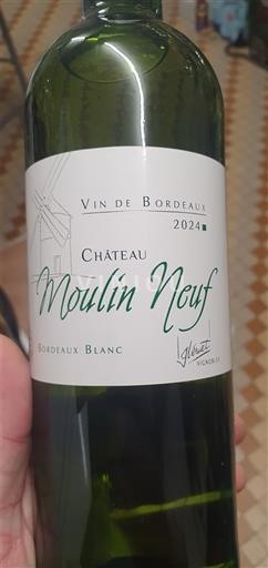 Bordeaux Bordeaux Weißwein Château Moulin Neuf 2024