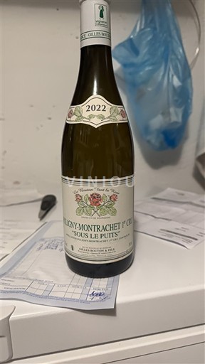 Borgogna Puligny-Montrachet Premier Cru Domaine Jean-Gilles Boisot Sous Le Puits 2022