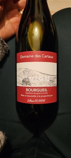 Vin Rouge sec Domaine S Cartaux 2024 France Vallée de la Loire Bourgueil AOC