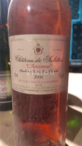 Jugozahod Ni doloceno Château Salettes L'Automne 2000