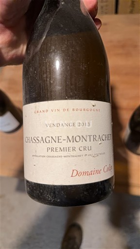 Borgoña Chassagne-Montrachet Premier Cru Domaine Colin 2013