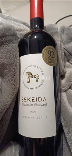 Aragão Cariñena Sekeida Mountain Vineyard 2022