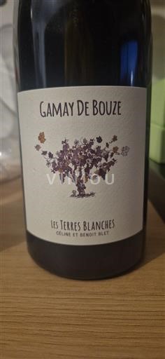 Wines Rouge sec Gamay de Bouze Les Terres Blanches Non millésimé France Loire Valley Not Specified AOC
