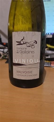 Loirevallei Coteaux d'Ancenis Domaine S Galloires Malvoisie 2016