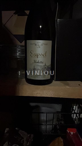 Savoja in Bugey Seyssel Molette Neleten.