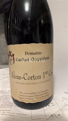 Borgonha Aloxe-Corton Premier Cru Domaine Cachat-Ocquidant Aloxe-Corton 1er Cru 2023