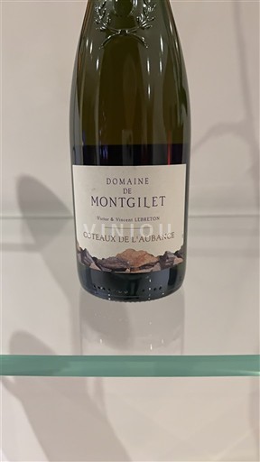 Vale do Loire Coteaux-de-l'aubance Domaine Montgilet 2020