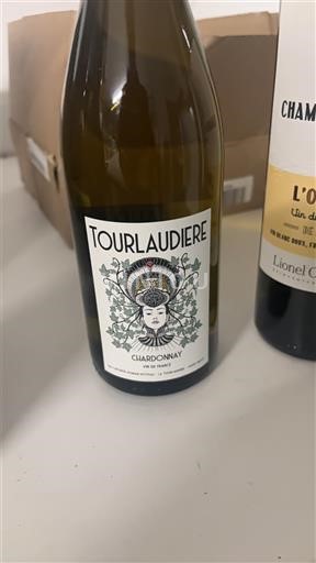 Dolina Loare Tourlaudière Neleten.