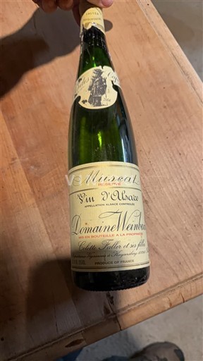 Elsass Domaine Weinbach Muscat Réserve Ohne Jahrgang