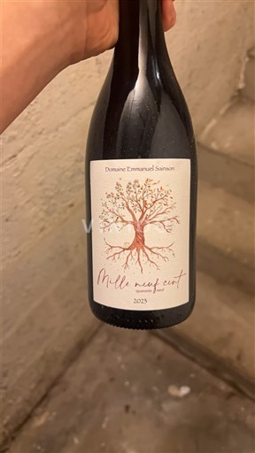 Beaujolais Domaine Emmanuel Sanson Mille neuf cent 2023
