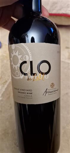 Vale de Rapel Vale do Colchagua Viña Aruacano Clo de Lolol 2020