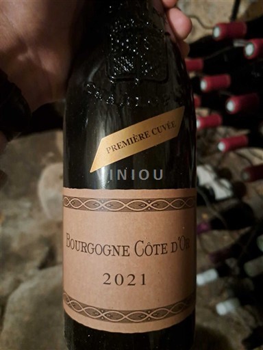 Vini Rouge sec Première Cuvée 2021 Francia Borgogna Borgogna Côte d'Or AOC