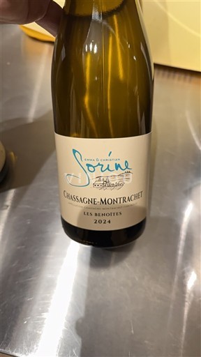 Burgundy Chassagne-Montrachet Domaine Sorine Les Benoites 2024