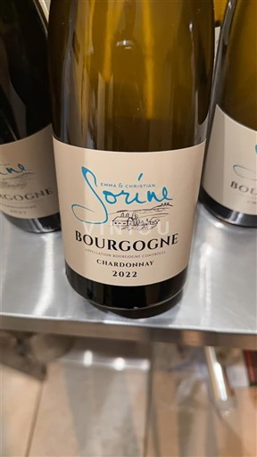 Burgundija Domaine Emile et Christian Sorine 2022