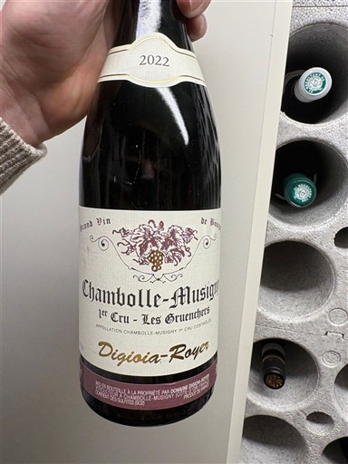 Bourgondië Chambolle-Musigny Premier Cru Digioia-Royer 1er Cru - Les Gruenchers 2022