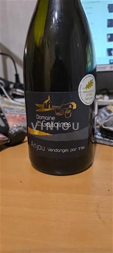 Valle del Loira Anjou Domaine S Galloire Vendanges par tries 2022