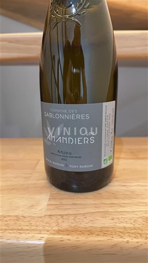 Valle del Loira Anjou Domaine S Sablonnières Les Amandiers 2021