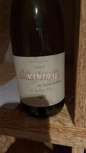 Linguadoca Non specificato Château Pennautier Chardonnay de Pennautier 2003