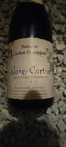 Burgundi Aloxe-Corton Domaine Cachat-Ocquidant 2021