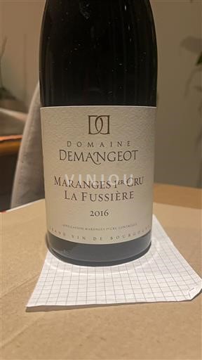 Bourgondië Niet gespecificeerd Premier Cru Domaine Mangeot La Fussière 2016