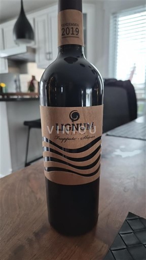 Dolina Maipo Osrednji Maipo Lignum 2019