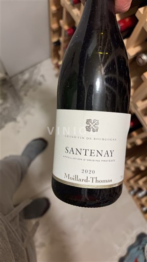 Borgonha Santenay Moillard-Thomas 2020