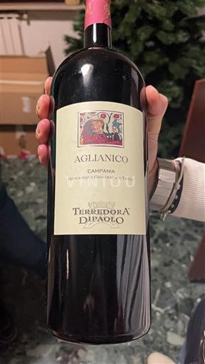 Kampánie Nespecifikováno Terredora Di Paolo Aglianico 2015