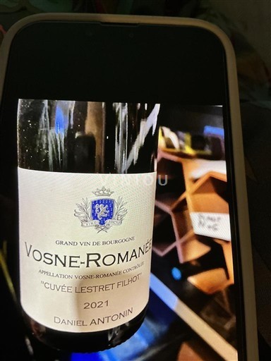 Burgundi Vosne-Romanée Daniel Antonin Lestret Filhot 2021