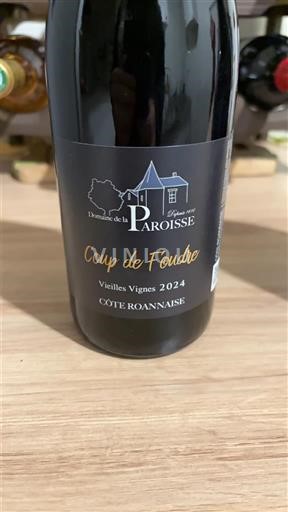 Dolina Loare Côte-roannaise Domaine La Paroisse Coup de Foudre Vieilles Vignes 2024