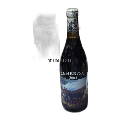 Rona dolina Côtes-du-Rhône Ogier Camerone 2004