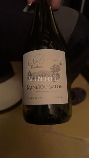 Valle del Loira Menetou-Salon Domaine S Coteaux Sin añada