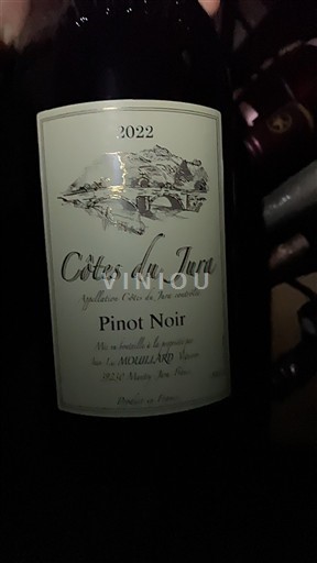 Jura Côtes du Jura Domaine Mouillard 2022