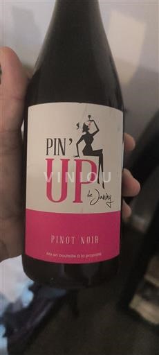 Beaujolais Domaine Javernière Pin'Up Senza annata