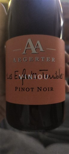 Bourgogne Aegerter Les Enfants Terribles 2021