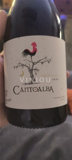 Vale de Rapel Vale do Colchagua CANTOALBA 2020